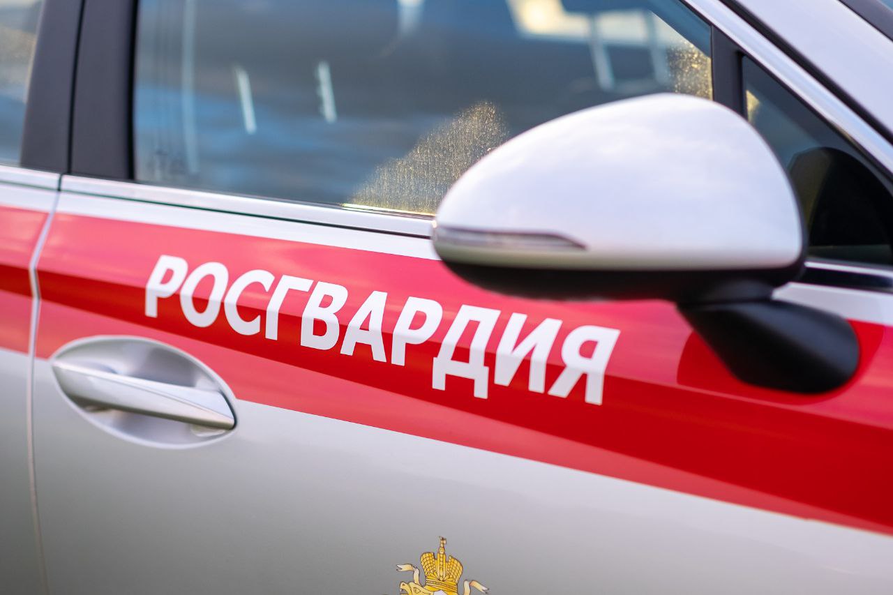 В Краснодаре росгвардейцы задержали жителя Адыгеи с 110 капсулами «Лирики» Сотрудники вневедомственной охраны задержали 31-летнего жителя Республики Адыгея, подозреваемого в незаконном сбыте сильнодействующего вещества. Наряд Росгвардии заметил молодого человека на улице Стасова, когда он что-то положил в кусты и сделал фотографию этого места. При виде патрульного автомобиля он попытался скрыться, но был задержан. Прибывшие полицейские изъяли из кармана его куртки 22 свертка, в которых находилось 110 капсул «Лирики». Согласно результатам экспертизы, в изъятых капсулах содержалось сильнодействующее вещество — прегабалин, известный как «Лирика», общей массой почти 40 граммов. Нарушитель передан сотрудникам полиции для дальнейшего разбирательства. #Росгвардия #Кубань #Краснодар