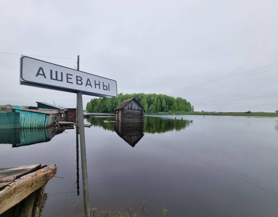 Омские власти придумали спасение для уходящей весной под воду омской деревни   Губернатор Омской области Виталий Хоценко выразил обеспокоенность ситуацией в Усть-Ишимском районе на севере Омской области. В прошлом году грандиозный паводок нанес большой урон жителям нескольких населенных пунктов, но в большей степени, - деревне Ашеваны. Дело дошло до срочной эвакуации.    По словам главы региона, власти приняли решение окружить населенный пункт защитной земляной насыпью, высота которой рассчитана с учeтом показателей многолетних наблюдений за уровнем реки. Работы уже начались. Это позволит защитить деревню от подтоплений.