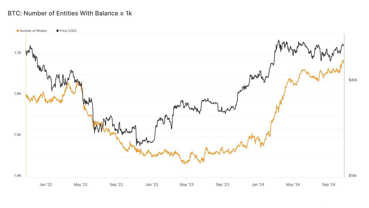 Количество Bitcoin-китов достигло самого высокого уровня с января 2021 года — на данный момент есть 1678 кошельков, которые держат более 1000 BTC.    Подписаться SCORPS   Chat