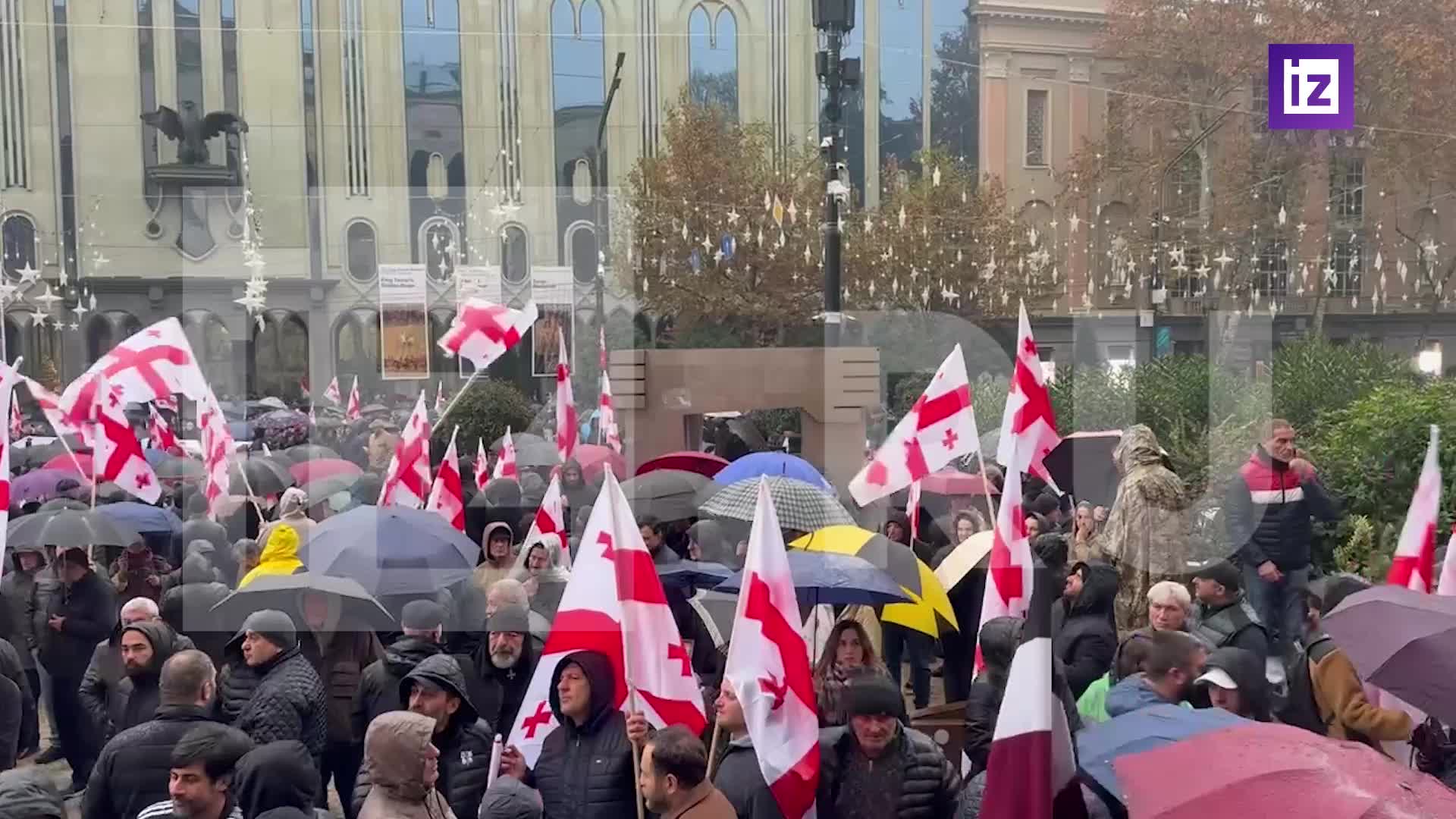 Митинг в Тбилиси против проектов компании Eagle Hills и массовой миграции