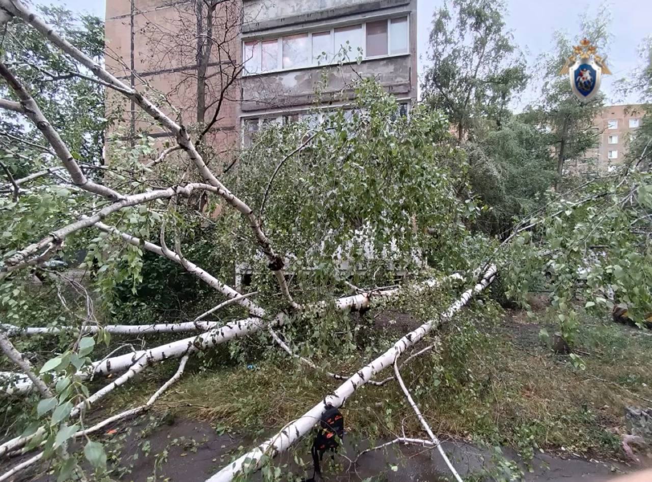 Десятилетний ребенок погиб в результате падения дерева во дворе жилого дома на западе Донецка. По версии следствия, дерево упало на ребенка из-за сильного порыва ветра. Несовершеннолетний скончался на месте. Возбуждено уголовное дело, устанавливаются все обстоятельства произошедшего. Об этом сообщили в региональном СК. Накануне песчаная буря накрыла Донецк. Атмосферное явление сносило деревья в разных районах города. Буст Отправить новость
