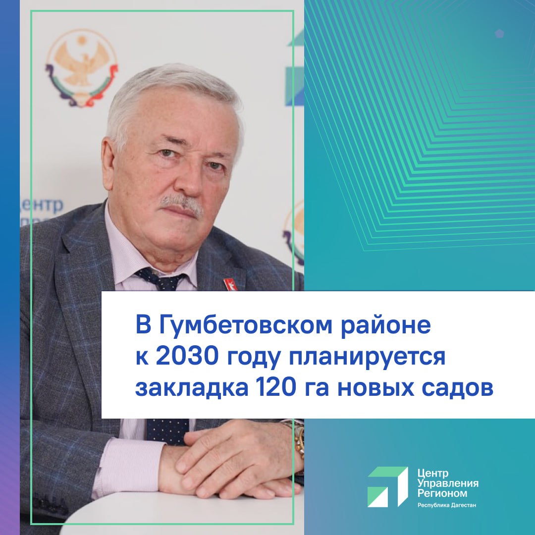 В Гумбетовском районе к 2030 году планируется закладка 120 га новых садов В муниципалитете уже есть сады площадью около 737 га из них 6 гектаров виноградников а плодоносящих садов 516 га 460 га это абрикосы Об этом в прямом эфире ЦУР рассказал глава Гумбетовского района Галип Галипов Мы наращиваем садоводческую долину В прошлом году по этой программе в селе Гадари мы посадили около трёх гектаров яблони Всего там планируется заложить около 25 гектаров сада до 2030 года и я уверен что с поддержкой правительства мы эту программу реализуем А в селении Нижнее Инхо планируется посадить виноградники на площади 25 га заявил глава района Планируется также возродить дагестанский виноград Хьоп халат в переводе с авар означает длинная гроздь Место для посадки уже определено В связи с этим решается вопрос с водоснабжением В этом направлении район получает активную поддержку от Дагмелиоводхоза В прошлом году на реконструкцию водопровода Игали Ингиши было выделено около 2 млн рублей столько же на направление Инхо Также был проведён капитальный ремонт водопровода в Чирката ещё 2 млн рублей отметил Галип Галипов Работы по развитию садоводства продолжаются а восстановление Чиркатинского фруктово консервного завода обеспечит стабильный сбыт местной продукции