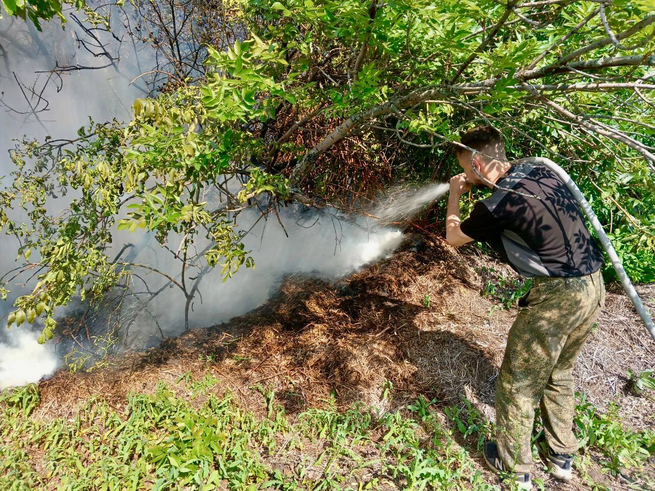 30 мая лесники потушили пожар в Волжском лесничестве в районе Сухой Вязовки. Было задействовано 3 единицы техники и 7 человек. Оперативность тушения – 100%. Площадь пожара – 0,16 га. Этой весной уже произошло 15 пожаров на землях лесного фонда. Их причина – человек, который ни о чем не задумывается. Погулял в лесу, покурил, кинул окурок, ушел. А трава, особенно, когда жарко, может долго тлеть. Соблюдайте правила пожарной безопасности, находясь на природе. Не становитесь причиной беды. Наши лесопожарные бригады на защите леса круглосуточно: 8 846 231-00-63. МИНПРИРОДЫ