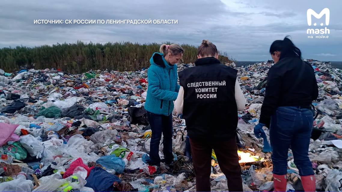 Младенца с пуповиной нашли на мусорном полигоне в деревне Лепсари Всеволожского района Следователи уже возбудили уголовное дело по статье об убийстве матерью новорожденного сейчас мальчику ничего не угрожает он в больнице под наблюдением врачей А родителей этого несчастного ребёнка ищут