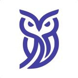 Образование и молодёжная политика Воронежа