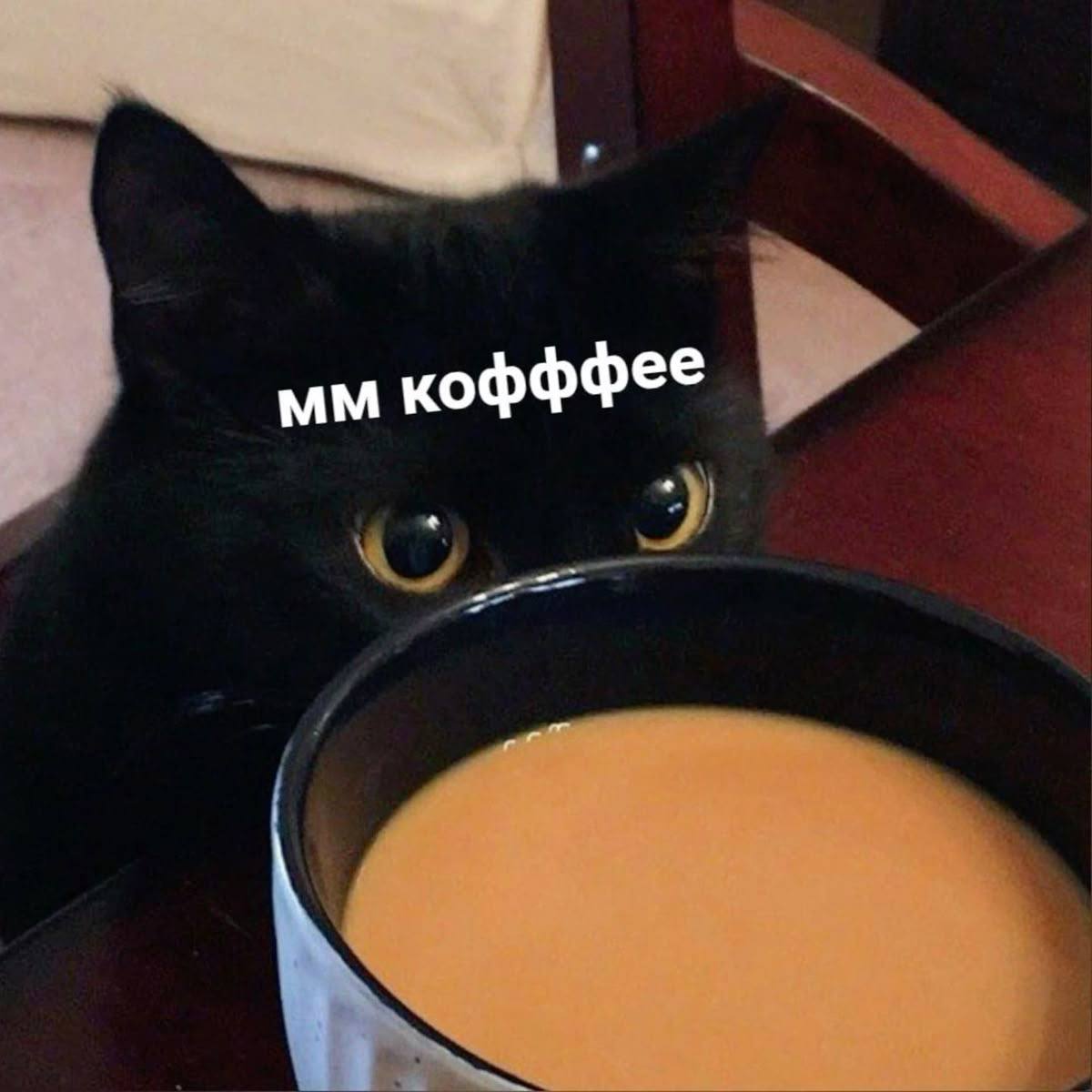 Исследования показали неожиданную связь кофе и здорового сердца Известный врач терапевт и ведущий Александр Мясников опроверг распространенное заблуждение о вреде кофе для пациентов с нарушениями сердечного ритма Доктор рассказал что многочисленные научные исследования подтверждают безопасность умеренного употребления кофе для людей с аритмиями Ранее считалось что кофеин провоцирует учащённое сердцебиение и ухудшает течение заболевания Тем не менее современные медицинские данные указывают обратное Один из крупных экспериментов включал наблюдение за состоянием 500 пациентов с мерцательной аритмией Часть испытуемых ежедневно употребляла небольшую дозу кофе а остальные отказались от напитка совсем  Итоги эксперимента удивили врачей частота повторных приступов аритмии оказалась ниже именно у тех кто пил кофе Доктор подчеркивает что главная рекомендация избегать чрезмерного потребления кофе и учитывать индивидуальные особенности организма Для большинства людей одна чашечка ароматного напитка в день абсолютно безвредна и даже полезна Фото соцсети PrimaMedia Новости России