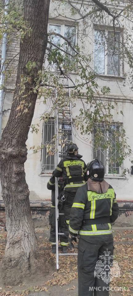 3 летний малыш оказался один в квартире за захлопнутой дверью Сегодня в Барнауле спасатели выезжали на тревожный вызов в доме на улице 40 лет Октября трёхлетний ребёнок остался заперт в квартире Бабушка вышла буквально на минуту в подъезд но дверь захлопнулась Каждая минута в таких ситуациях решающая На место сразу прибыли пожарные которые установили лестницу ко второму этажу проникли в квартиру и в присутствии полиции открыли дверь Мальчик был в порядке Медпомощь не понадобилась только объятия спасибо спасателям сердце замерло пока читал а МЧС Алтайского края