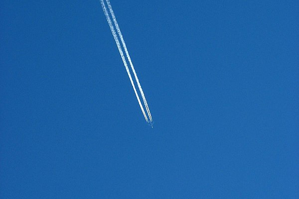 IATA: объем мировых пассажирских авиаперевозок в апреле вырос на 8% Объем мировых пассажирских авиаперевозок в апреле поднялся максимальными с января темпами – на 8% в годовом выражении, заявили в Международной ассоциации воздушного транспорта IATA . Об этом сообщает Прайм. "В апреле рост пассажирооборота в целом по отрасли составил 8% в годовом выражении, это самый высокий показатель с января 10% - ред. ", – говорится в сообщении. В месячном выражении показатель увеличился на 1,7%, что также стало максимальной с начала года динамикой. aviaru.net/n284040