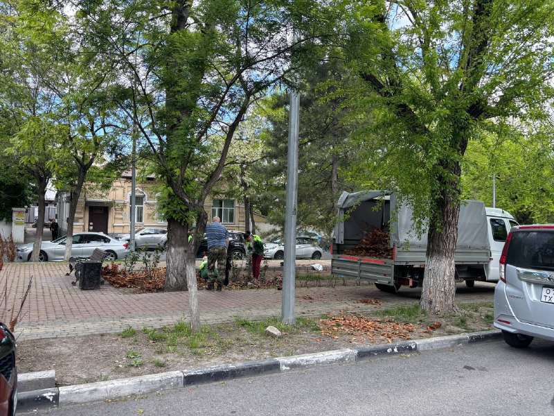 Еще одно кладбище образовалось в центре Новороссийска На пленарном совещании глава Новороссийска пообещал, что этим летом на 2-ой и 3-ей очереди набережной будет высажено десятки новых деревьев и кустарников, а до конца года во всех районах города высадят 9000 новых зелёных насаждений. Также ожидается поставка ещё дополнительно 3000 зелёных насаждений. Новороссийцы при этом фиксируют результаты предыдущего «озеленения». Подписчики ТГК «Урбанизм по-новороссийски пишут: «Вечнозелёные растения на улице Новороссийской республики завяли спустя полгода. Они завяли сразу с посадки. Там походу процентов 5-10 выживших. Саженцы где-то долго держали после закупки. А потом дохлых уже посадили. Сейчас, видимо, остатки тоже завяли, и они срезают их под чистую». тгк «Урбанизм по-новороссийски»