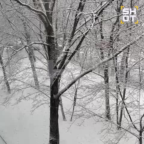 Снегопад накрыл Москву, в то время как Беларусь остается без зимы