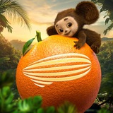 Аватар Телеграм канала: Централ Партнершип