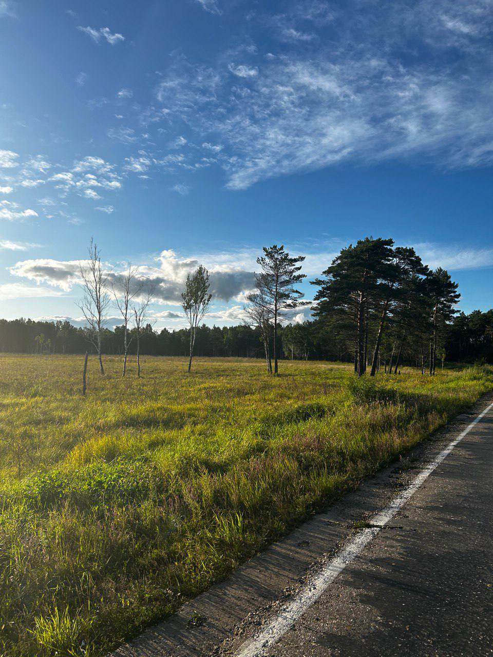 В Приамурье 1873 многодетных семьи получили земельные участки и сертификаты Владимир Путин во время пресс конференции несколько раз уделил особое внимание демографической ситуации в стране В Амурской области по его поручению многодетные семьи получают земельные участки или земельные сертификаты взамен земли Одна из мер господдержки многодетных семей выдача участка для строительства дома или ведения садоводства С начала действия программы в регионе 1873 многодетных семьи получили земельные участки или сертификаты сказал министр имущественных отношений Амурской области Сергей Олиферов  По поручению Юрия Трутнева на Дальнем Востоке сохраняются меры социальной поддержки семей Например программа Дальневосточная и арктическая ипотека продлена до конца 2030 года Президент России Владимир Владимирович Путин поручил обеспечить сохранение ставки на уровне 2 годовых по программе Дальневосточная и арктическая ипотека до конца 2030 года а также расширить ее действие на некоторых специалистов Поручение Президента необходимо выполнять Когда банки решили иначе я доложил об этом Председателю Правительства Михаилу Владимировичу Мишустину Он дал поручение Минфину Минфин начал работу с банками Итогом этой работы стало определение того объема средств которые Правительству придется добавить банкам для того чтобы они выполнили поставленную Президентом задачу Дальневосточники смогут и дальше пользоваться льготной ипотекой улучшать свои жилищные условия строить на полученном гектаре дом сказал Заместитель Председателя Правительства РФ полномочный представитель Президента РФ в ДФО Юрий Трутнев Подписывайтесь на новости Амурской области в МАХ