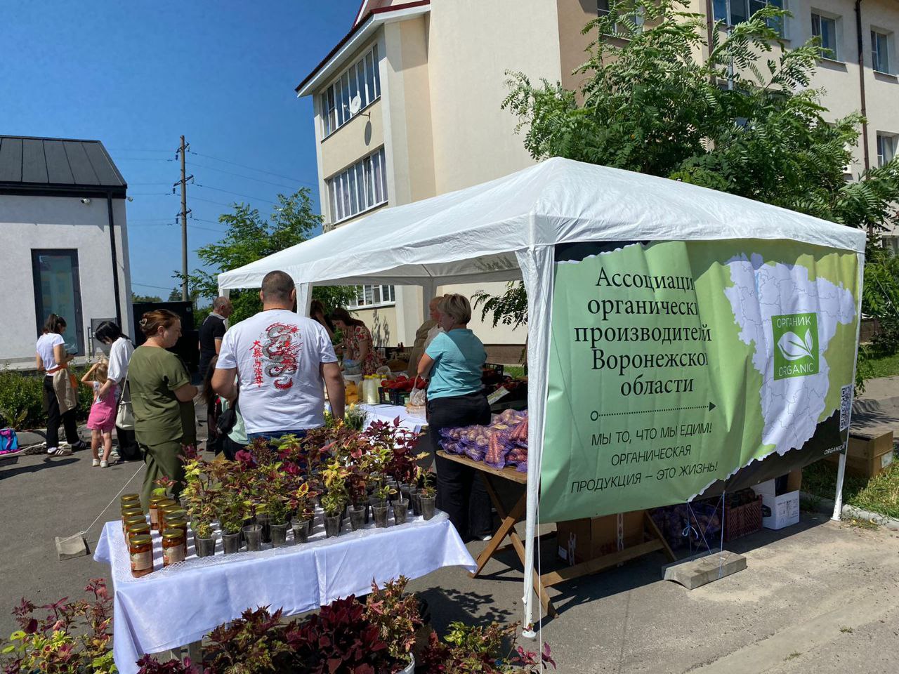 27 июля в Воронежской области прошёл «Праздник огурца»  Вчера в селе Ямное Рамонского района состоялось тематическое мероприятие по популяризации органической продукции и первый праздник, посвященный конкретному продукту в нашем регионе.    С приветственными словами выступили заместитель министра сельского хозяйства Воронежской области Александр Харьковский и заместитель начальник отдела развития растениеводства министерства Анна Горбачева.    В рамках фестиваля производители и специалисты обменивались опытом, затронули актуальные темы продвижения продукции и развития подотрасли региональной органики, обсудили возможности сохранения самобытности сельского уклада, преемственности передаваемых ремесел.     На ярмарке была представлена продукция воронежских производителей: сельхозкооператива Биотория из Лискинского района, фермерских хозяйств Королева Ю.А. из Бобровского района, Шерманова Ю.В. из Воробьевского района и Алтухова Л.А. из Новоусманского района. На ярмарочных рядах посетители имели возможность попробовать органику на вкус и продегустировать не только огурцы, но и другие органическое овощи.    Каждый производитель презентовал продукцию, выращенную в своем хозяйстве, а присутствующие могли задать вопросы и узнать много интересного о свойствах овощей и их высокой питательной ценности, сортах и гибридах, технологии возделывания и пользе здорового питания.     Помимо деловой программы и дегустации для присутствующих были организованы различные культурно-массовые мероприятия. Выставочные экспозиции сопровождались проведением мастер-классов по плетению изделий из лозы, работе с глиной, живописи, валянию из шерсти. К примеру, взрослые моги проявить свои способности в мастер-классе по нейрографике на тему «Здоровье», посоперничать в авторской игре «Синергия». Для детей были организованы шоу-программы, игры, конкурсы и викторины. Победители получили призы и сертификаты.  Фестиваль прошел на позитивной ноте и стал новым этапом в популяризации органической продукции среди населения, а также отправной точкой в организации подобных праздников в будущем.  #органика #ярмарка #овощи #огурцы