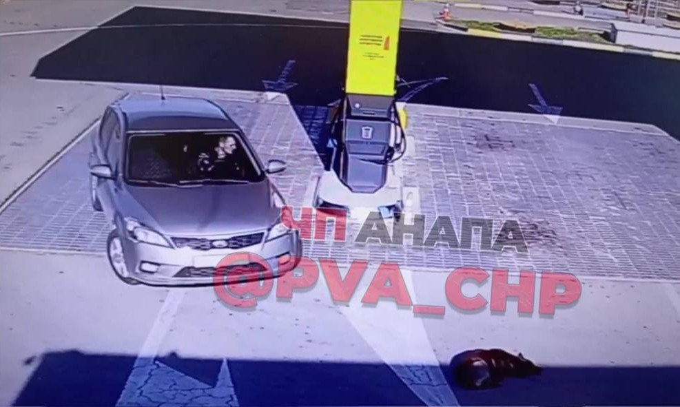 В Анапе водитель переехал спящую собаку на автозаправке В соцсетях появилось жуткое видео, на котором видно, как водитель серебристой «Киа» подъезжает к заправке, проходит мимо спящей собаки и заходит в магазин. А после – садится в машину, переезжает животное и мчит дальше. Комментаторы уверены, что это сделано специально: не заметить пса было невозможно. Во всем разберется полиция: проверка уже началась.