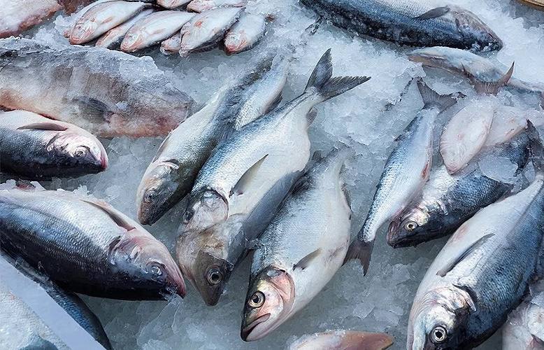 В Ростовской области за неделю подорожала мороженая рыба В Ростовской области зафиксирован рост цен на мороженую рыбу Согласно данным Ростовстата в период с 16 по 22 декабря в регионе подорожала мороженая неразделанная рыба В среднем по области её стоимость увеличилась на один рубль достигнув 315 83 рубля за килограмм Наиболее заметный рост цен отмечен в Таганроге где килограмм рыбы подорожал на 2 82 рубля и в Миллерово на 2 30 рубля В Ростове на Дону прибавка составила 36 копеек в Шахтах один рубль При этом в Сальске стоимость осталась без изменений а в Волгодонске сохранились самые низкие в регионе цены на этот продукт Подпишись на 1Rnd в МАХ Написать в редакцию