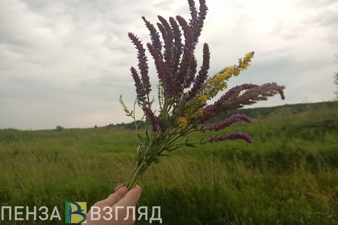 Дожди, грозы и +25 градусов тепла прогнозируют в Пензенской области 16 июня По данным Пензенского ЦГМС – филиала ФГБУ «Приволжское УГМС», на территории региона 16 июня ожидаются дожди. Ночью столбики термометров будут держаться на отметках от +8 до +13 градусов. Днем температура вырастет до +20...+25 градусов по Цельсию. В ГУ МЧС России по Пензенской области рассказали, что в регионе возможно неблагоприятное природное явление — гроза. В Пензе завтра облачно, весь день будет идти небольшой дождь, днем воздух прогреется до +21 градуса. Жителям Кузнецка тоже потребуются зонты — синоптики обещают небольшие дожди и +23 градуса тепла. В Сердобске 16 июня будет дождливо, термометры покажут +21 градус тепла, сообщает Росгидромет. -Взгляд