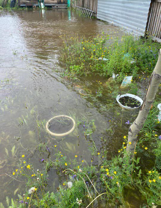 В Чульмане устраняют последствия подтопления: уровень воды пошёл на спад 11 июля из-за резкого подъёма воды в реке Чульман и ручье Сивагли оказались подтоплены поселок Чульман и село Большой Хатыми Нерюнгринского района. В Чульмане пострадали семь дачных домов, в Хатыми вода зашла в дома на улицах Аэродромная и Школьная, достигнув в помещениях отметки до 5 см. На месте работают специалисты администрации, МЧС и добровольцы. Возведена защитная дамба, ведётся круглосуточная откачка воды. В Чульмане проведена эвакуация, в Хатыми от неё отказались — уровень воды быстро пошёл на спад. Как сообщила и. о. главы Чульмана Алла Маер, ситуация находится под контролем. На утро 12 июля уровень воды продолжает снижаться. Sakhaday.ru по информации Индустрия Севера Фото: Новости Yakutsk News