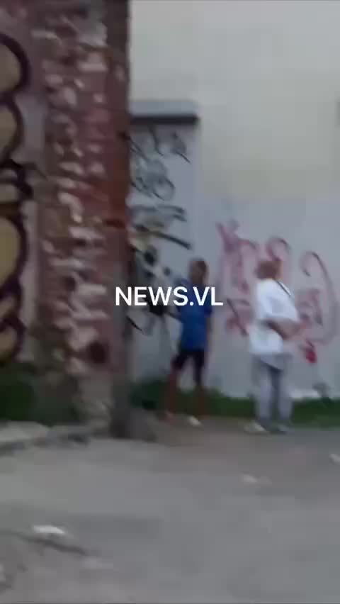 Жестокое обращение с лошадью во Владивостоке вызывает общественное возмущение
