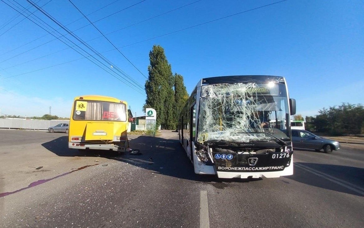 Два человека пострадали в ДТП со школьным и маршрутным автобусами Авария произошла у дома 48Б на улице Волгоградской сегодня утром 17 сентября За рулём ПАЗа предназначенного для перевозки детей находился 47 летний водитель При повороте налево автобус врезался в НеФАЗ От удара двое пассажиров второго транспортного средства упали и получили травмы Женщин в возрасте 50 и 43 лет доставили в больницу   vrn aif ru incidents crash v voronezhe shkolnyy avtobus protaranil marshrutnyy dvoe postradali aifvrn