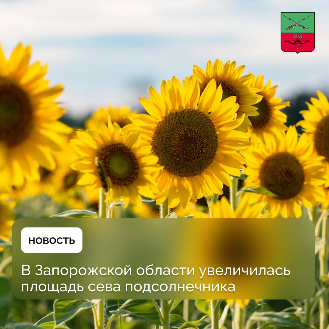 В Запорожской области восстанавливается агропромышленный комплекс В Запорожской области в 2025 году площадь сева подсолнечника составит 435 тыс. га, общий яровой сев зерновых культур составит 610 тыс. га. В Министерстве АПК и продовольственной политики Запорожской области отметили, что увеличение посевной площади имеет значительное экономическое значение для региона, позволит создать новые рабочие места, способствует развитию смежных областей.