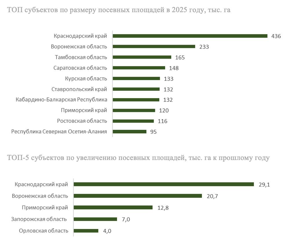 2,62 млн га составят посевные площади под кукурузой в 2025 году, что соответствует уровню прошлого года, прогнозируют в RUSEED. С учетом новых регионов, площадь может достичь 2,7 млн га.   Лидером по посевам останется Краснодарский край, который увеличит посевы на 7%, до 436 тыс. га. Второе место займет Воронежская область с площадью 233 тыс. га, третье — Тамбовская область с 165 тыс. га. В целом в ЮФО площади, как ожидается, вырастут на 5%, а на Дальнем Востоке показатель увеличится сразу на 9% из-за роста спроса со стороны животноводов.   В новых регионах восстанавливается сельхозпроизводство, что увеличит их роль в общем объеме. В Запорожской области посевы кукурузы в 2025 году вырастут почти в два раза, в ДНР и ЛНР — на 7-8%.   Средняя площадь в России под кукурузой за последние 5 лет составила 2,8 млн га — это в два раза выше, чем в 2010 году.   Рынок кукурузы выглядит перспективным в долгосрочной перспективе. Внутренний спрос остается стабильным, в том числе со стороны комбикормовых заводов. Экспортный потенциал также оценивается высоко.