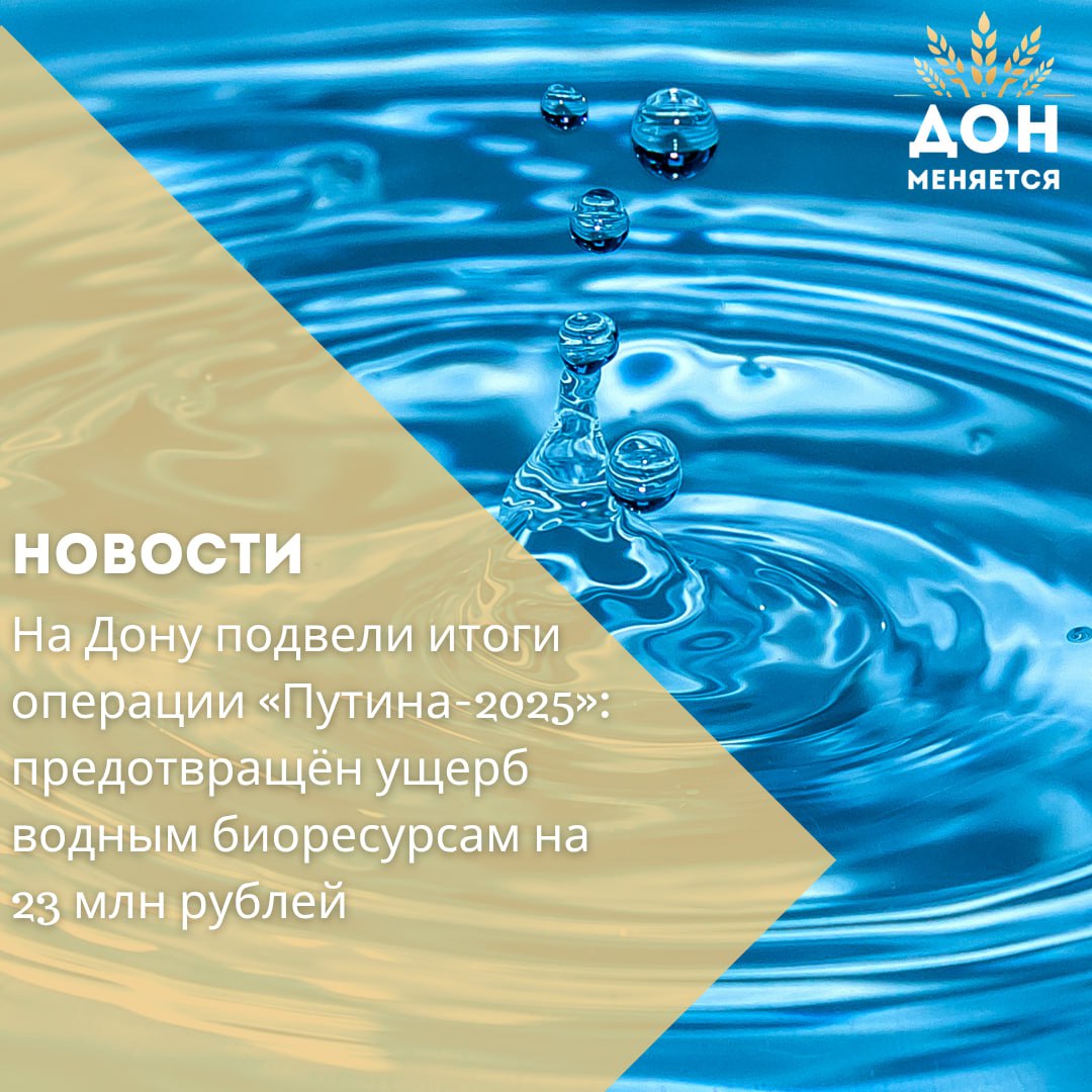 В правительстве Ростовской области подвели итоги операции «Путина-2025» по усилению охраны весенне-нерестующих рыб. Заседание рыбохозяйственного совета прошло под председательством замминистра сельского хозяйства и продовольствия региона Алексея Васильева. С 1 апреля по 31 мая в области проводился двухмесячник, направленный на защиту водных биоресурсов в период нереста. За время операции было возбуждено 207 уголовных и 200 административных дел, выявлено почти 900 нарушений законодательства в сфере рыболовства. Ущерб, нанесённый водным ресурсам, оценён в 13,7 млн рублей, что ниже прошлогоднего показателя 19,2 млн . В ходе контрольных мероприятий из водоёмов изъяли более 140 запрещённых сетей. Все жизнеспособные особи были возвращены в природную среду. Сумма предотвращённого ущерба составила 23,2 млн рублей. Также обсуждалось состояние биологических ресурсов в Азовском море и их потенциал для дальнейшего использования.