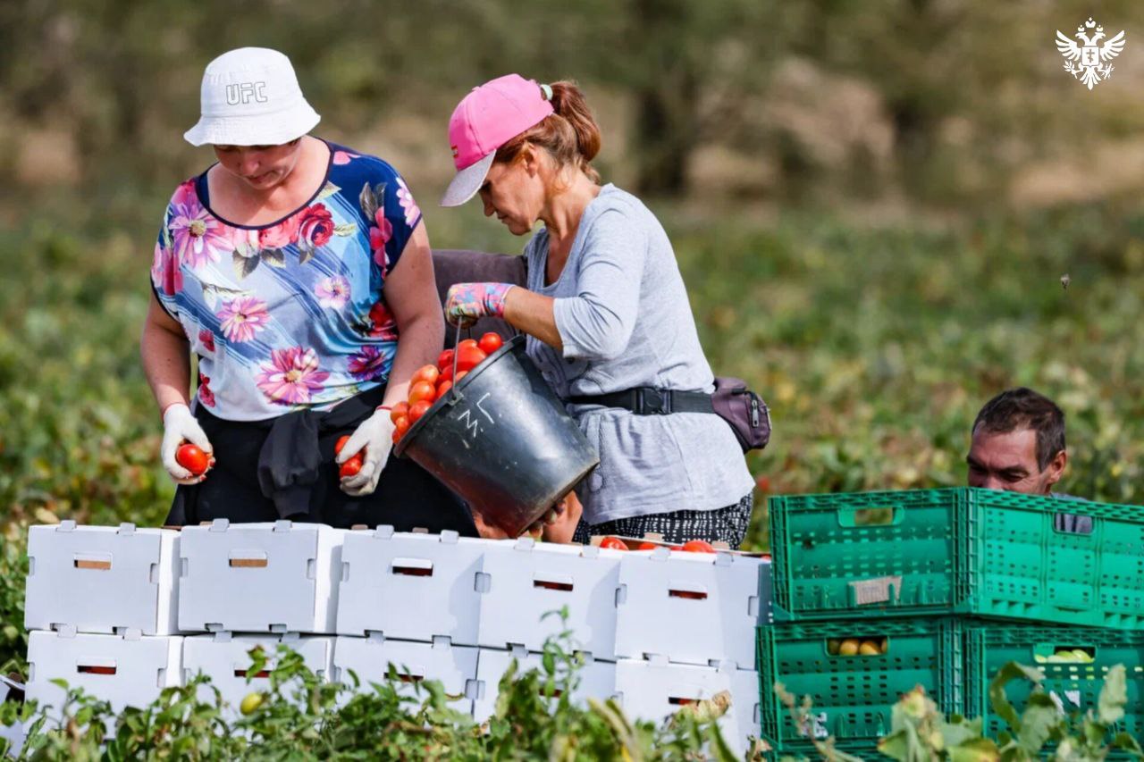 Аграрии Херсонской области получили поддержку в размере более 900 млн рублей Сельхозпроизводители Херсонской области получили финансовую помощь от государства Программа субсидий направлена на частичную компенсацию затрат при выращивании зерновых и зернобобовых культур По данной программе уже осуществлены выплаты сельхозтоваропроизводителям на сумму более 900 млн руб Также планируется компенсировать часть понесенных затрат хозяйствам у которых в результате почвенной засухи была зафиксирована полная гибель посевов сообщили в Минсельхозе Херсонской области Поддержка составляет 3 500 рублей за гектар для зерновых и зернобобовых культур и 1 400 рублей за гектар для масличных Эти деньги помогут фермерам покрыть часть трат на посевы и убытки от погибшего урожая Сайт ВК ОК MAX Администрация Херсонская область VGA Kherson SALDO VGA