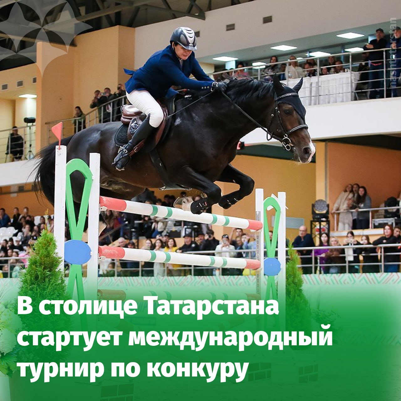 С 29 по 30 августа на Казанском ипподроме пройдет международный турнир по конкуру на приз Раиса Республики Татарстан В соревнованиях примут участие лучшие всадники из России Беларуси Казахстана Кыргызстана Литвы и Узбекистана Они поборются за призовой фонд в 6 5 миллионов рублей Открытие соревнований состоится уже сегодня в 17 00 В программе скоростные маршруты испытания на мощность прыжка и двухгитовый Гран При Вход на мероприятие свободный Приходите всей семьей чтобы поддержать участников и насладиться захватывающим зрелищем Подписаться на канал Мы в MAX