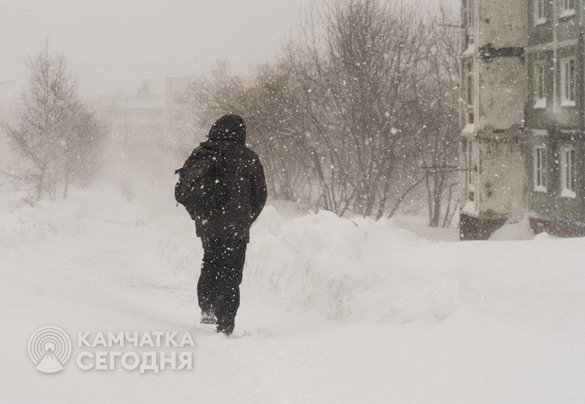 Правительство Камчатского края рекомендует предприятиям и организациям всех форм собственности 11 ноября перевести сотрудников на дистанционный режим работы в связи с неблагоприятными погодными условиями Мы в MAX