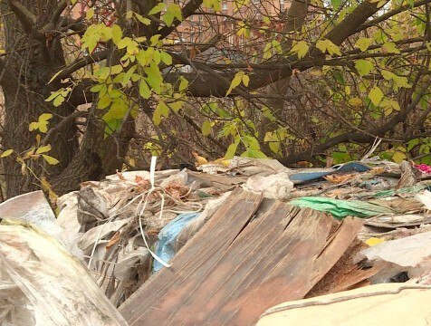 В калужском лесу ликвидировали свалку по решению суда Калужская межрайонная природоохранная прокуратура добилась через суд ликвидации несанкционированной свалки в Пригородном лесничестве http gtrk kaluga ru news proisshestviya news 58841