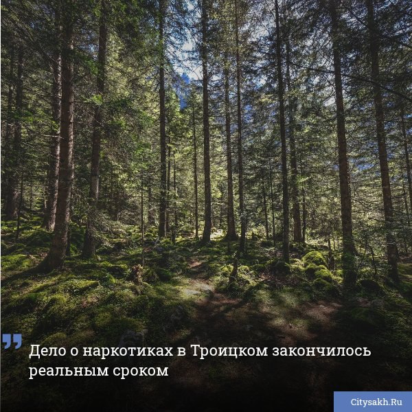 Двое жителей Южно-Сахалинска были задержаны после того, как попытались забрать свой тайник с запрещенным веществом в одном из лесов области.