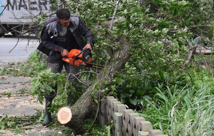 Циклон Лотар бушевавший ночью 31 октября в Калининградской области повалил деревья на жилые здания в региональном центре привел к отключениям электричества и локальным подтоплениям Об этом сообщили в администрации города Как и прогнозировалось циклон слегка ослаб перед визитом в наш город максимальные порывы ветра ночью достигали 21 м с но и этого хватило чтобы не оставить без работы дежурные бригады коммунальщиков Четырежды на места обрывов проводов выезжали энергетики По состоянию на 06 00 07 00 мск прим ТАСС падения веток или деревьев было зафиксировано по 18 адресам В четырех случаях деревья падали на жилые дома Также аварийными зелеными насаждениями повреждено четыре автомобиля За 12 часов в городе выпало 18 мм осадков к сожалению сорванная ветром листва быстро забивала решетки дождеприемных колодцев что вызывало локальные подтопления говорится в сообщении