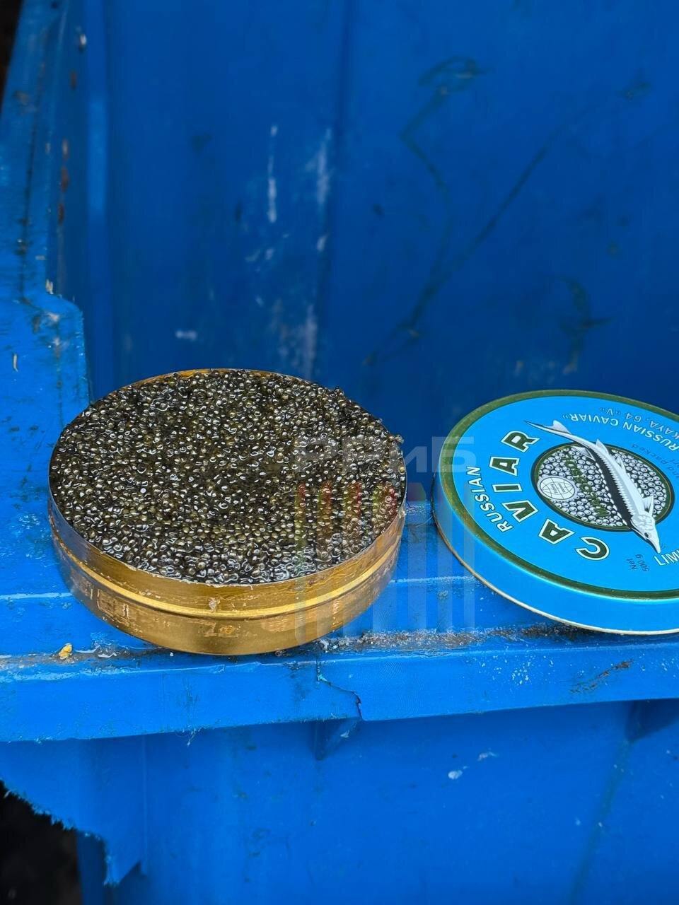 Обитатели Патриков выкинули банку чёрной икры Caviar. Открытое новогоднее угощение красуется прямо на мусорке в центре Москвы. Полкило такого продукта стоит около 40 тысяч рублей.