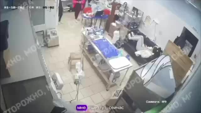 В Курске и Шахтах волонтеры спасают пострадавших собак