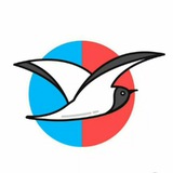 Аватар Телеграм канала: Лобня