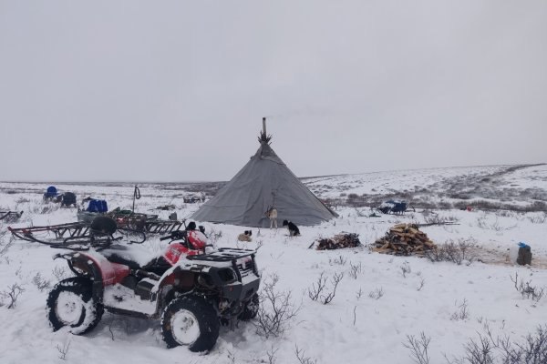 При поддержке Минсельхоза Коми воркутинское сельхозпредприятие получит партию современной техники komiinform ru news 289220