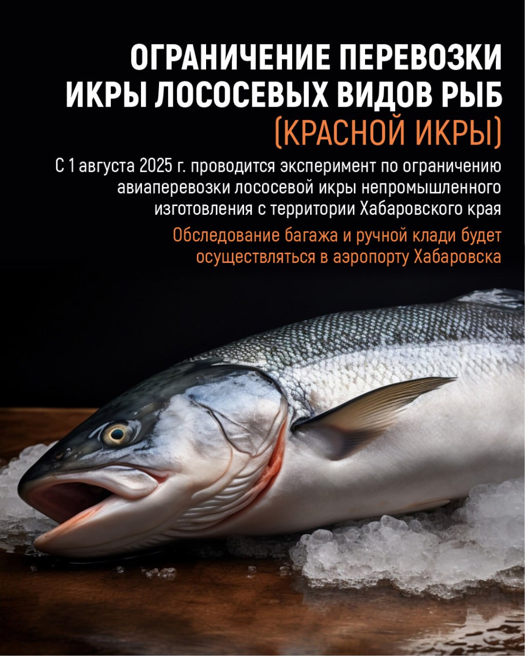 В Хабаровском крае с 1 августа 2025 года по 1 августа 2027 года проводится эксперимент по внедрению дополнительных механизмов регулирования внутренних воздушных перевозок красной икры  Согласно изменениям в законодательстве, запрещается вывоз воздушным транспортом из Хабаровского края лососевой икры свыше 10 кг на одного человека за один рейс. Подробности – в карточках.  Эксперимент направлен на сохранение водных биологических ресурсов и предотвращения их незаконного оборота.    Для получения дополнительной информации по вопросам перевозки красной икры можно обратиться в Комитет рыбного хозяйства Правительства Хабаровского края по телефону 8  4212  40-20-00  доб. 2927 , эл. почта fishery .gov.ru.