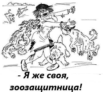 Собака бывает кусачей!  За первые девять месяцев года бродячие псы напали на 3,5 тысячи татарстанцев. Это только зарегистрированные случаи, когда пострадавшие обращались за медпомощью. К счастью, случаев бешенства среди хвостатых не обнаружили.