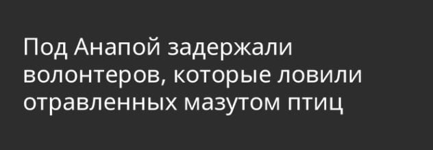 В полиции несколько часов продержали волонтеров, ловивших птиц, пострадавших от выброса мазута. На прошлой неделе также задерживали активистов, пытавшихся помешать выпуску на природу отмытых от мазута, но ослабших птиц  Также волонтеры сегодня рассказали, что центр где они содержат и лечат пернатых закрыли сразу же после приезда журналистов. Похвастались на камеру и все позакрывали, а волонтерам велели собирать свои вещи, птиц и выметаться   Я порой ловлю себя на мысли, ну а что если я вот слишком категоричен. Ну у нас просто разные взгляды с ними, ну они просто еще воруют очень много с бюджета и естественно защищают это от лишних глаз. Но в целом же это точно такие же люди как и мы. Да? Или нет?  И потом вот такие новости и я спускаюсь на землю. Это нелюди. Ничего человеческого в них нет.   Подписывайтесь   ДИССИДЕНТ   ОБСУДИТЬ В ЧАТЕ