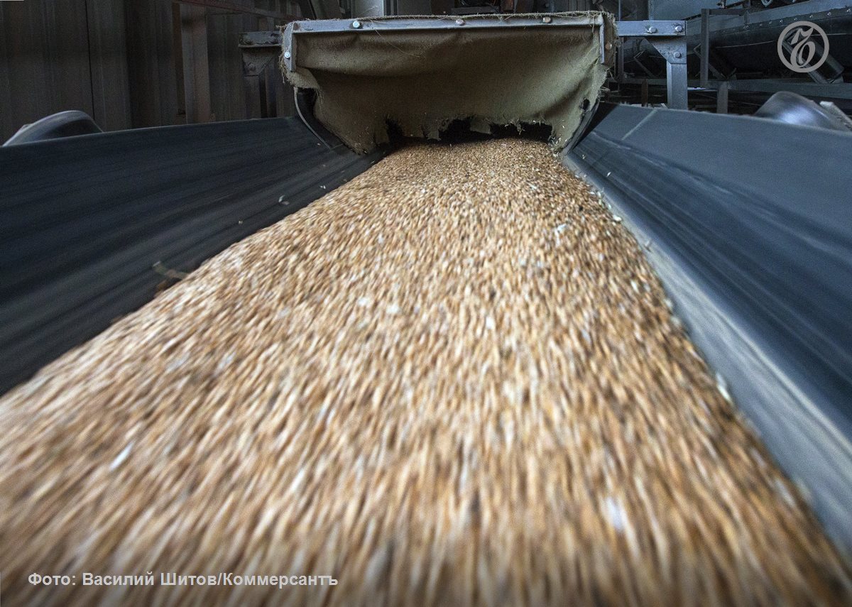 Аренда зерновозов для поставки продукции на экспорт в российские порты на Черном море по итогам 2026 года может подорожать на 22 Одним из факторов удорожания логистики стало увеличение дальности поставок из за неурожая на юге карта зерновых маршрутов поменялась Основной экспорт сейчас обеспечивают регионы Черноземья Поволжья и Сибири Если в третьем квартале 2025 года лидерами по погрузке на экспорт были Ставропольский край Волгоградская и Липецкая области то в четвертом их место заняли еще более удаленные от портов Азово Черноморского бассейна регионы Новосибирская и Омская области а также Алтайский край Стоимость доставки зерна увеличивается параллельно с активным ростом экспортных объемов Аналитики Совэкона отмечают что поставки за рубеж российской пшеницы в ноябре 2025 года достигли 5 2 млн тонн в декабре 4 2 млн тонн Оба этих значения стали рекордами за восемь лет Ъузнал