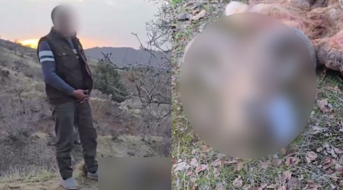 В Сурхандарье мужчина застрелил краснокнижного барана ущерб составил более 400 млн сумов видео repost uz narushil srazu dva zakona Подписывайтесь на Repost