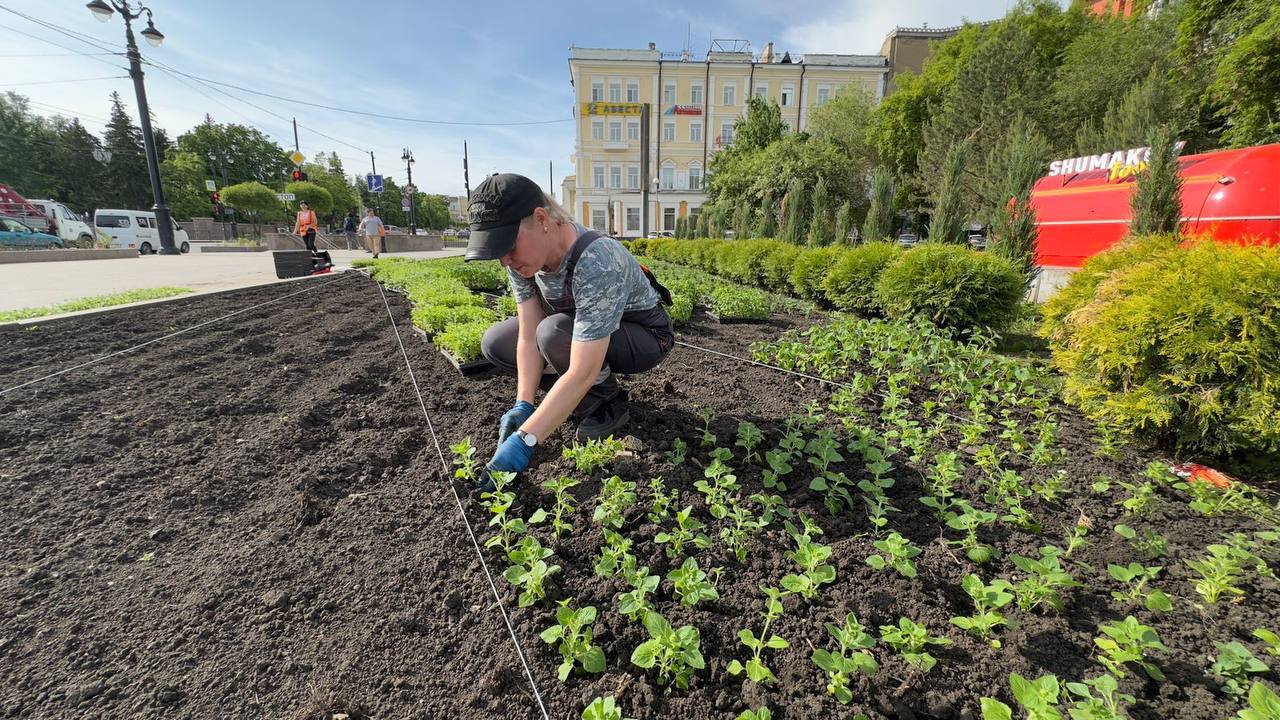 В Омске за день высадили 20 тысяч цветов В городе продолжается активная работа по озеленению. Сегодня работы проходили в сквере на пересечении улиц Ленина и Лермонтова, а также на улице Гагарина. Специалисты создают яркие цветники из сальвий, петуний, бегоний и бархатцев. С начала мая уже высажено более 110 тысяч растений. В этом сезоне планируется высадить не менее 700 тысяч цветов. Впервые используются арочные цветочные конструкции, которые украсили улицу 60 лет Победы и участок улицы Гагарина. Работы по озеленению должны завершиться до 15 июня, если погодные условия будут благоприятными. Фото: пресс-центр администрации города Омска