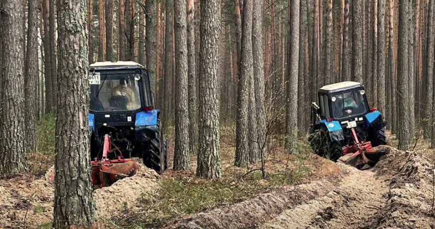 В Тюменской области уже проложено более 1500 км новых противопожарных минеральных полос, расчищено свыше 1100 км Работы по защите лесов от пожаров продолжаются. Всего, по данным департамента лесного комплекса Тюменской области, в этом году планируется создать и прочистить более 20 тысяч километров минерализованных полос, а также построить и реконструировать 122,5 километра лесных дорог. С 5 апреля на территории Тюменской области введен особый противопожарный режим. Жителям запрещено: посещать леса; проводить пожароопасные работы; жечь сухую траву, включая придорожные полосы; разводить костры. За нарушение требований пожарной безопасности предусмотрена административная, а также уголовная ответственность.