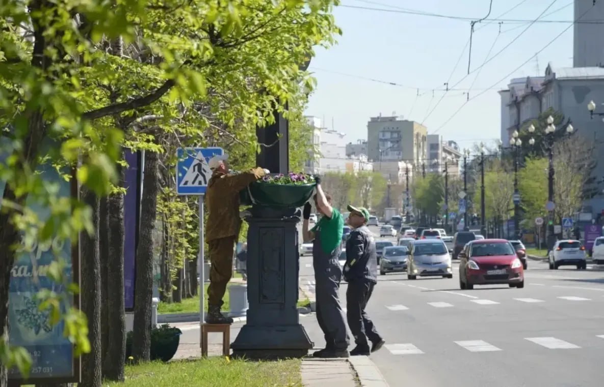 Миллион цветов украсят Хабаровск весной и летом 2026 года К посевам цветов которые украсят территорию Хабаровска этим летом приступили в МБУ Горзеленстрой На клумбы высадят хорошо зарекомендовавшие себя растения морозостойкие и засухоустойчивые Всего в этом году будет высеян миллион разных семян среди них бегония пеларгония петуния и другие Посеяли уже около 20 Уже традиционно частично городские пространства начнут озеленять к 9 мая Напомним обычно в первую очередь к работам приступают на площади Славы в районе площади имени Ленина а затем цветы укореняют и на других территориях Хабаровска Помимо цветов украсят краевую столицу новые саженцы деревьев и кустарников Планируется что посадки начнутся с 15 апреля todaykhv