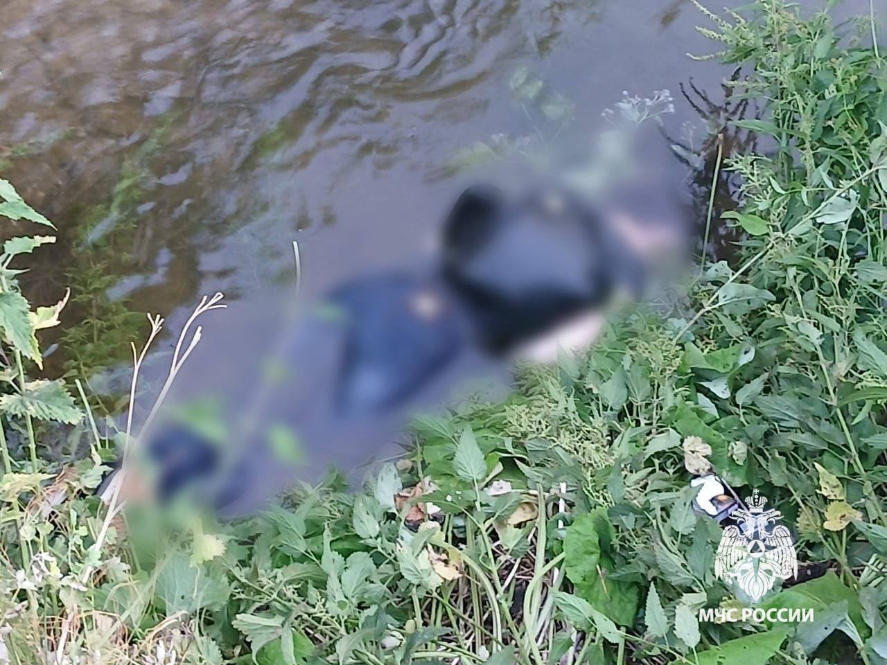 Мужчину и женщину извлекли погибшими из воды В Дюртюлинском районе вблизи деревни Казы-Ельдяк на озере Казы-Куль 46-летний мужчина, со слов очевидцев, хотел переплыть озеро, но не доплыл до берега и утонул. Погибшего нашли «бреднями» рыбаки на следующие сутки. Водолазы Госкомитета РБ по ЧС извлекли погибшего из воды. В Туймазинском районе вблизи села Нижнетроицкий в реке Кидаш местными жителями возле берега на поверхности воды обнаружена погибшая женщина в одежде, личность устанавливается. В обоих случаях проводятся оперативно-следственные мероприятия. МЧС России напоминает: не заходи в воду в незнакомых местах; не лезь в воду пьяным; выбирай для купания только оборудованные пляжи; не купайся в одиночку. За прошедшие сутки в Башкортостане: ЧС не зарегистрировано. На водных объектах за сутки произошло 2 происшествия. Огнеборцами потушено 17 пожаров. Для ликвидации ДТП привлекались 3 раза.