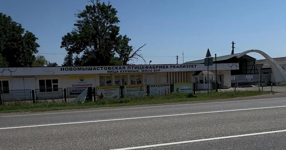 На Новомышастовской птицефабрике в Краснодарском крае около 50 тыс. кур голодают уже восемь дней. Птицы начали клевать друг друга, перестали нести яйца. Директор фабрики не отвечает на звонки. Предположительно, корма нет из-за долгов, зарплату сотрудникам тоже задерживают. В ближайшее время, предполагают работники птицефабрики, поставок корма не предвидится, поэтому 50 тыс. птиц скорее всего убьют. предоставлено очевидцами Утреннему Югу Написать в редакцию/заказать рекламу: Подписаться на «Утренний Юг»