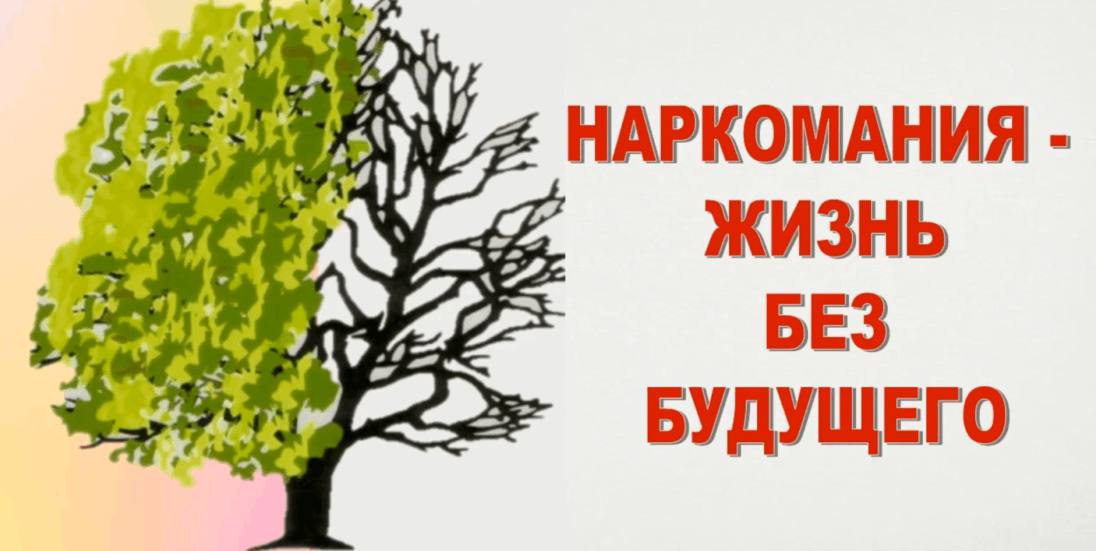 Преступлений, связанных с наркотиками, в городе стало меньше.  Если сравнивать с прошлым годом, то незаконного оборота наркотиков стало меньше на 6,9%.  Но это небольшая разница. Все равно в Ливнах, Орле и Мценске по-прежнему преобладают синтетические наркотики и наркотики растительного происхождения.