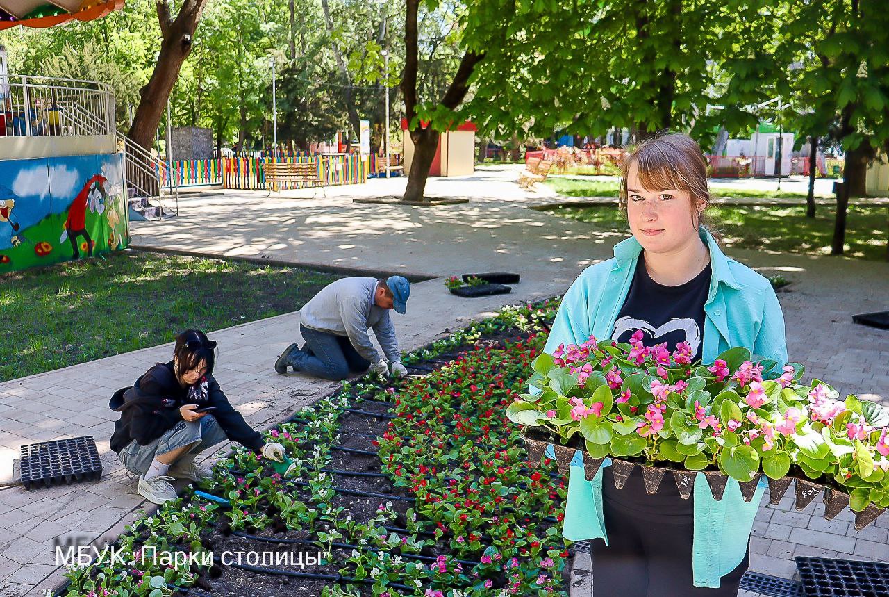 Весенняя высадка цветов продолжается: работы проходят в парке им. Гагарина Сотрудники учреждения «Парки столицы» высаживают яркие бегонии. Клумбы у аттракционов украсят 3000 штук. Красные, белые и розовые цветы будут радовать горожан и гостей крымской столицы всё лето и осень. Пасадочный материал закуплен с помощью социально ориентированного бизнеса - Крымской ассоциации индустрии развлечений.