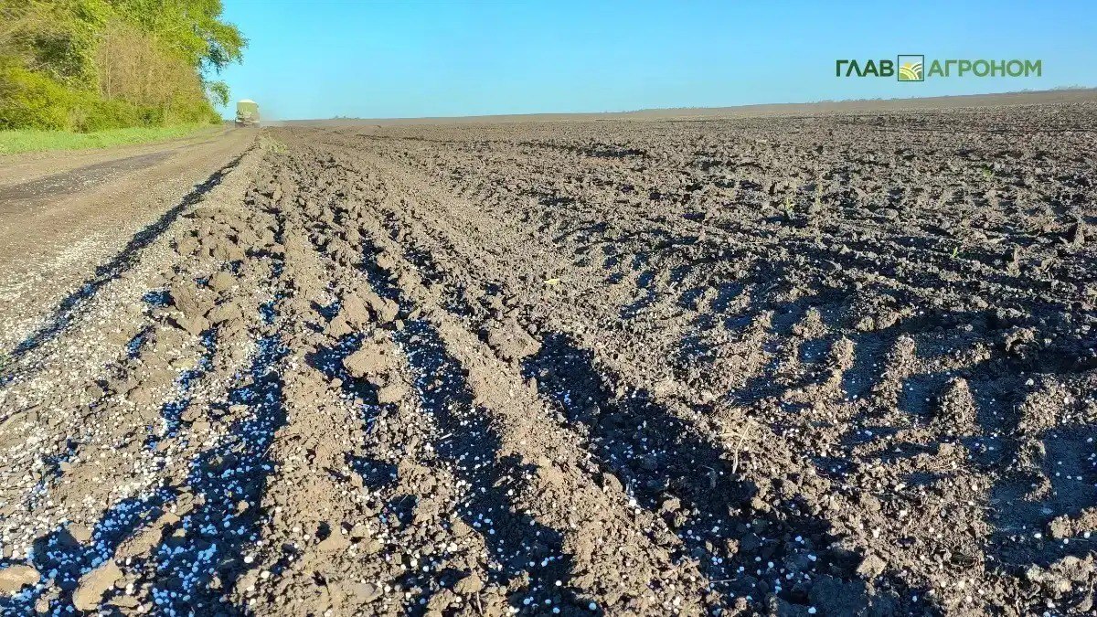 В России появится первое индийское предприятие по производству удобрений Крупнейшие производители удобрений в Индии Rashtriya Chemicals and Fertilisers RCF National Fertilisers Ltd NFL и Indian Potash Ltd IPL планируют построить в России завод по производству карбамида Подробнее читайте