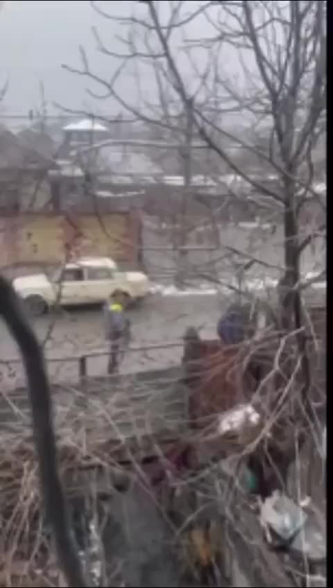 Проверка по факту стрельбы в собаку Лорда в Псковской области